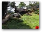 Log Section Waihi  » Click to zoom ->